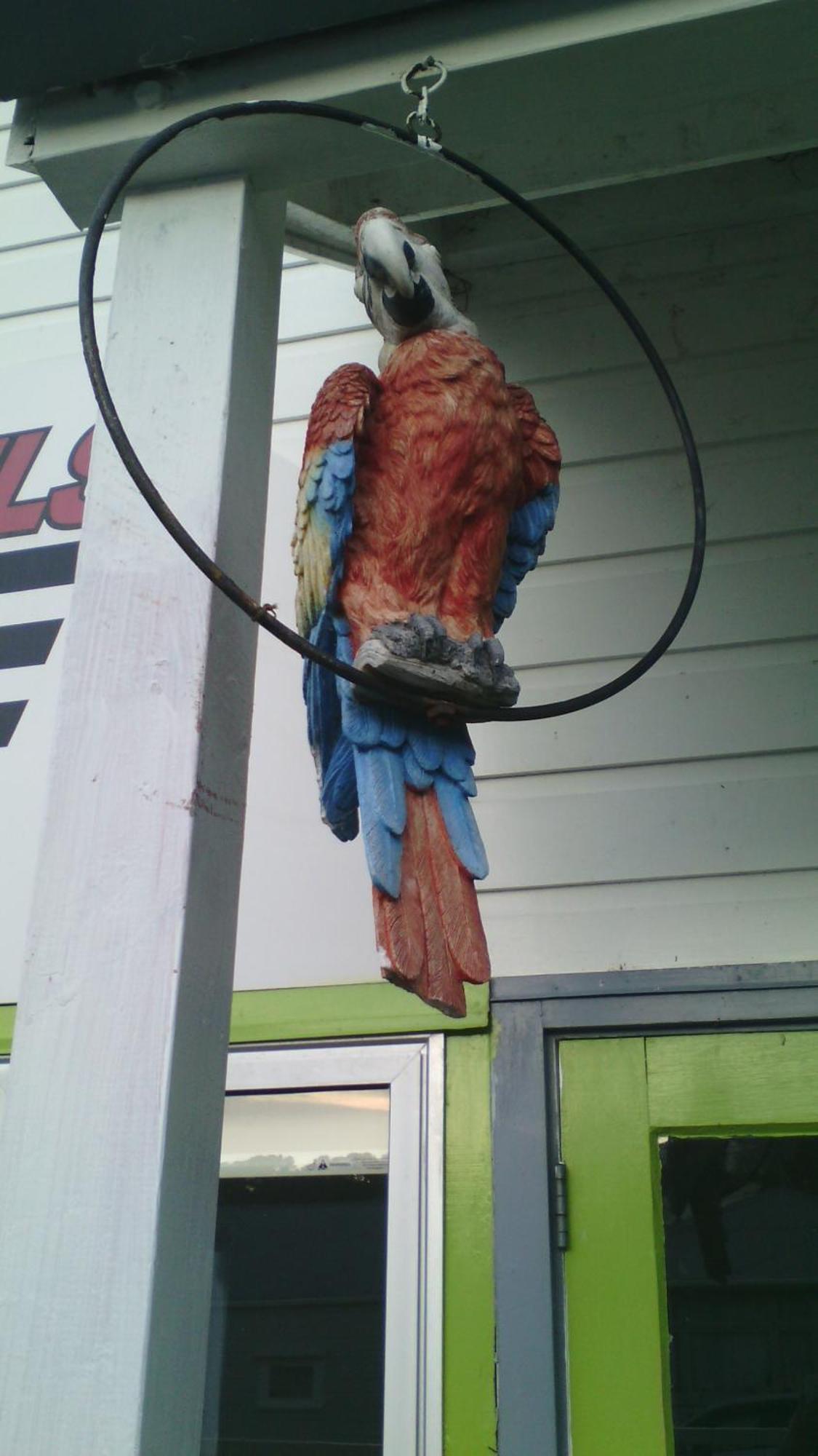 Wellington 747 Motel Rum bild